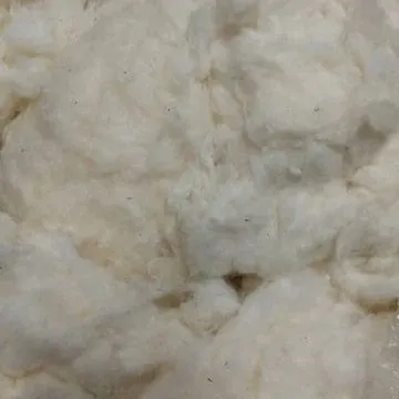 Cotton Carders