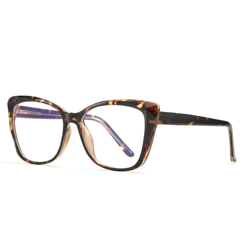 Sky - Tortoise Shell